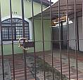 Imóvel Para Venda Possui 70 Metros Quadrados Com 2 Quartos Em Vila Santo Antônio - São Pau