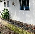 Kitnet Aluguel Anual . Norte Da Ilha