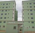 Marte 61