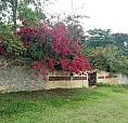 Casa E Natureza Exuberante Eng. Pedreira