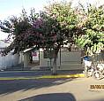 Casa Para Alugar Com 2 Dormitórios Em Centro, Birigui Cod:12462