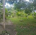 Quero Vender Essa Casa, No Bairro De Mosqueiro, Arriranba, Perto Da Praia,