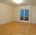 Pelotas - Apartamento Padrão - Centro