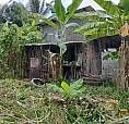 Casa Com Terreno Atrás E Na Frente 