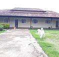 Alugo Casa Na Melhor Rua Da Vp