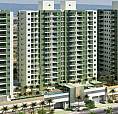 Apartamento 2 Quartos Em Itaparica