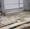 Casa Pra  Alugar No Muca