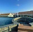 Apartamento Em Porto De Galinhas - Mobiliado