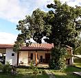 Casa Em Condomínio Marechal Deodoro