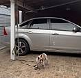 Ford Focus Sedan 1.6/1.6 Flex 8V/16V 4P Mec. 2012