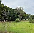 Casa Com Excelente Localização 