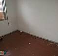 Apartamento 2 Quartos No Trevo 