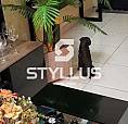 Piedade | Apartamento 2 Quartos