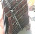 Moto X2