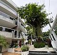 Apartamento À Venda Com 128,6M² E 3 Quartos Em Jardim Guanabara, 1ª Locação