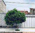 Casa Jardim Novo Petrópolis 