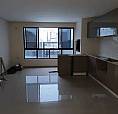 Apartamento Locação Anual Em Camboriú 