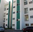 Linda Cobertura Com 3 Quartos E Com Vista Livre! Oportunidade!