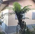Sobrado 3 Dorm, Desocupado