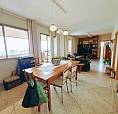 Apartamento Para Alugar No Bairro Anchieta