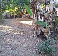 Casa No Citrolandia (Colônia) - Betim