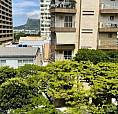 Apartamento : Padrão / Residencial / Botafogo