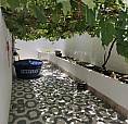 # Casa Com Parreira Uvas Thompson No Quintal 