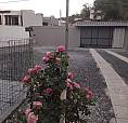 Casa Para Venda Possui 100 Metros Quadrados Com 2 Quartos
