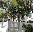 Apartamento Para Venda - 75.51M², 2 Dormitórios, 1 Vaga - Petrópolis