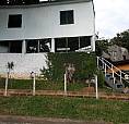 Casa 1 Dormitório (2 Quadras Da Protásio)