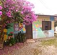  Aluguel De Quartos  Praia Barra Da Lagoa Florianópolis Coletivo Praiano *
