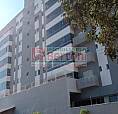 Apartamento Para Alugar Com 3 Dormitórios Em Centro, Arapongas Cod:31114.001