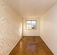 Para Aluguel Santa Maria Apartamento 1 Quarto