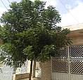 Casa 5X20 Toritama - Pe (2)