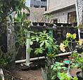 Alugo Casa Em Casa Amarela - Recife