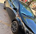 Corolla Gli Upper 2019/19