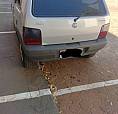 Venda