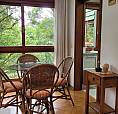 Alugo Excelente Apartamento Em Canela Direto Com Proprietária