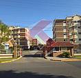 Locação Apartamento Canoas Rs Brasil