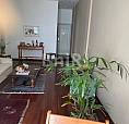 Apartamento 2 Quartos Rodolfo Dantas Copacabana