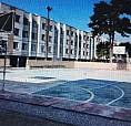 Apartamento Cj Leonis3 Quartos Bacacheri