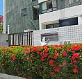 Apartamento Para Alugar Em Local Excepcional E Com Excelente Oportunidade!!!
