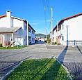 Novo Hamburgo - Apartamento 2 Dorm - Canudos