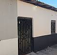 Apartamento Para Alugar 