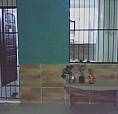 Casa Ampla E Nova Para Alugar No Centro  Do Conde