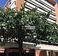 Apartamento Para Aluguel No Bairro Jatiúca - Maceió, Al