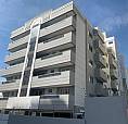 Alugue Lindo Apartamento Barato 1 Quarto, Prédio Novo Florianópolis Floripa R$1.599,00