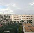 Aluguel De Um Apartamento