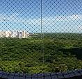Vista Panorâmica