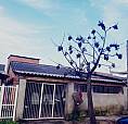 Terreno 2 Casas No Pátio 